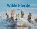 Wilde Pferde Kalender 2025 - Ackermann Kunstverlag