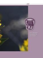 InsideView 11