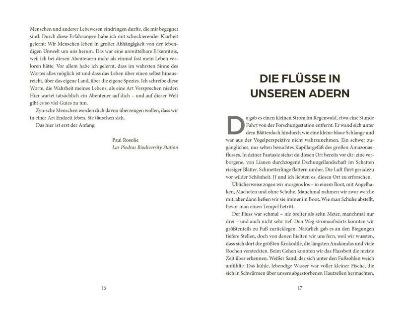InsideView 2
