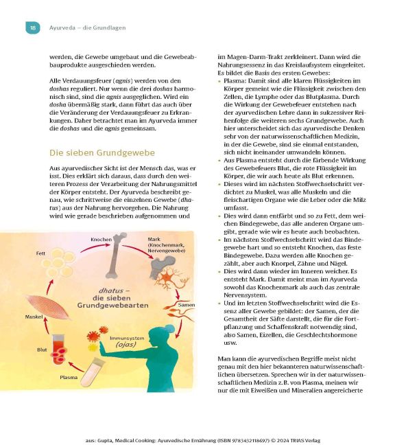 InsideView 13
