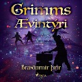 Cover-Bild zum Titel 'Bræðurnir þrír' von 'Grimmsbræður'