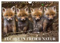 Füchse in freier Natur (Wandkalender 2025 DIN A4 quer), CALVENDO Monatskalender - Ulrich Hopp