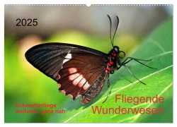 Fliegende Wunderwesen. Schmetterlinge weltweit, ganz nah (Wandkalender 2025 DIN A2 quer), CALVENDO Monatskalender - Thomas Zeidler