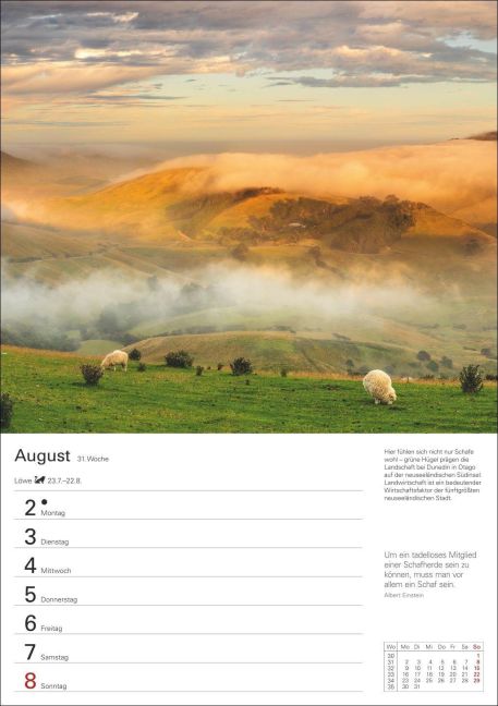 InsideView 12