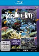 Cover-Bild zum Titel 'Korallen-Riff' von ''