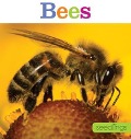 Seedlings: Bees - Aaron Frisch