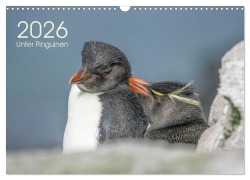 Cover-Bild zum Titel 'Unter Pinguinen (Wandkalender 2026 DIN A3 quer), CALVENDO Monatskalender' von 'Heike Kuratli'