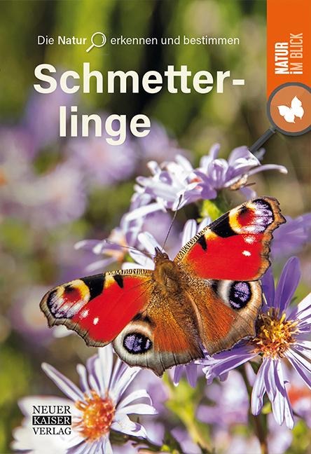 Schmetterlinge - 