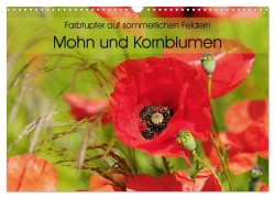 Farbtupfer auf sommerlichen Feldern - Mohn und Kornblumen (Wandkalender 2026 DIN A3 quer), CALVENDO Monatskalender - Anja Frost