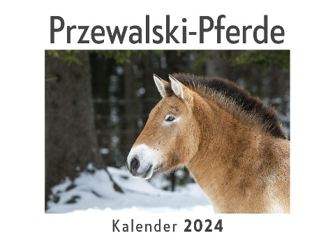 Przewalski-Pferde (Wandkalender 2024, Kalender DIN A4 quer, Monatskalender im Querformat mit Kalendarium, Das perfekte Geschenk) - Anna Müller