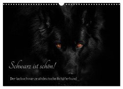 Cover-Bild zum Titel 'Schwarz ist schön! Der lackschwarze altdeutsche Schäferhund (Wandkalender 2026 DIN A3 quer), CALVENDO Monatskalender' von 'Rena Werz'