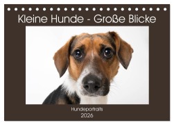 Cover-Bild zum Titel 'Kleine Hunde - Große Blicke (Tischkalender 2026 DIN A5 quer), CALVENDO Monatskalender' von 'Akrema-Photography Akrema-Photography'