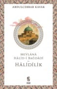 Cover-Bild zum Titel 'Mevlana Halid-i Bagdadi ve Halidilik' von 'Abdulcebbar Kavak'