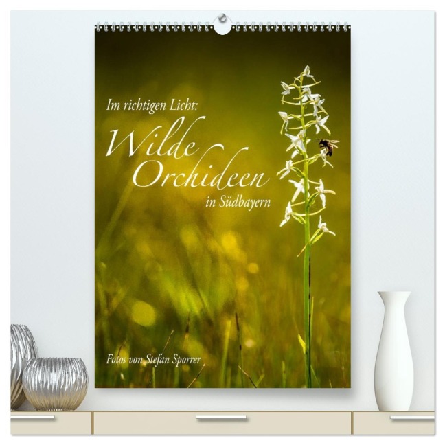 Im richtigen Licht: Wilde Orchideen in Südbayern (hochwertiger Premium Wandkalender 2026 DIN A2 hoch), Kunstdruck in Hochglanz - Stefan Sporrer