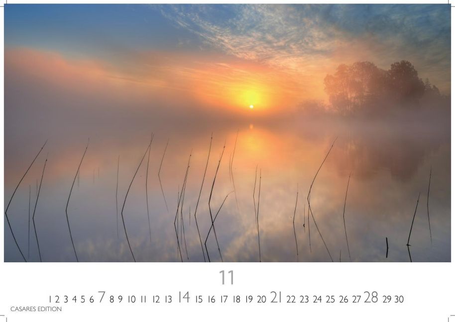 InsideView 11