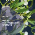 Mistel - Weisheit der natürlichen Ordnung - Matthias Felder