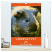 Cover-Bild zum Titel 'Meerschweinchen und Kaninchen Familienplaner (hochwertiger Premium Wandkalender 2026 DIN A2 hoch), Kunstdruck in Hochglanz' von 'Kattobello Kattobello'