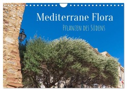 Cover-Bild zum Titel 'Mediterrane Flora - Pflanzen des Südens (Wandkalender 2026 DIN A4 quer), CALVENDO Monatskalender' von 'Elisabeth Schittenhelm'