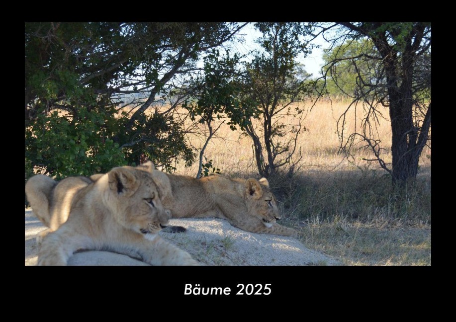 Bäume 2025 Fotokalender DIN A3 - Tobias Becker