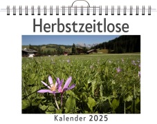 Cover-Bild zum Titel 'Herbstzeitlose' von 'Max Müller'