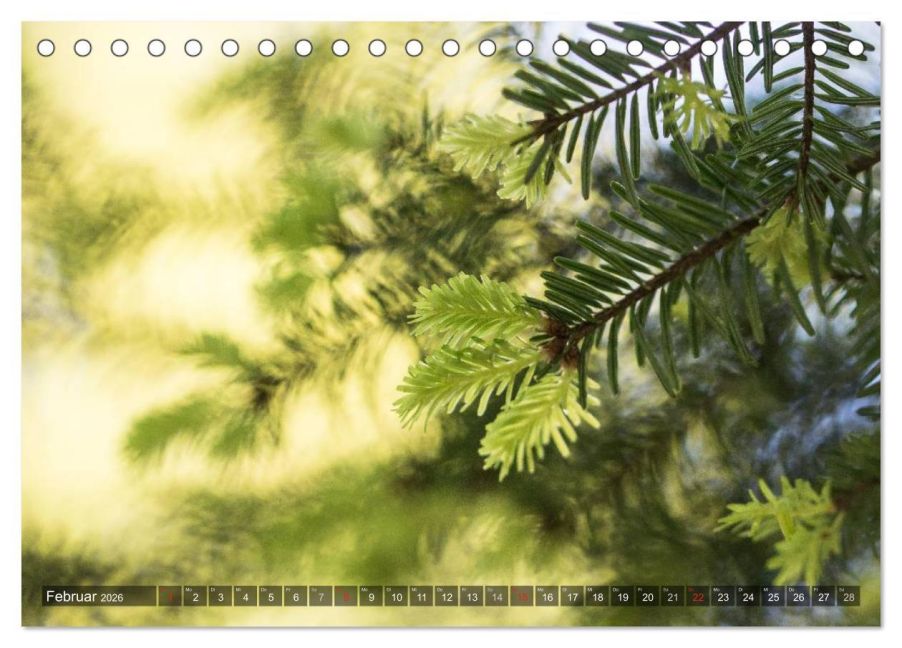 InsideView 7