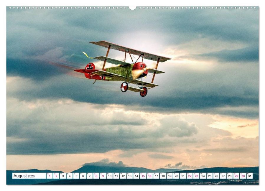 InsideView 12