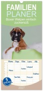 Cover-Bild zum Titel 'Familienplaner 2027 - Boxer Welpen einfach zuckersüß mit 5 Spalten (Wandkalender, 21 x 45 cm) CALVENDO' von 'Yvonne Janetzek'