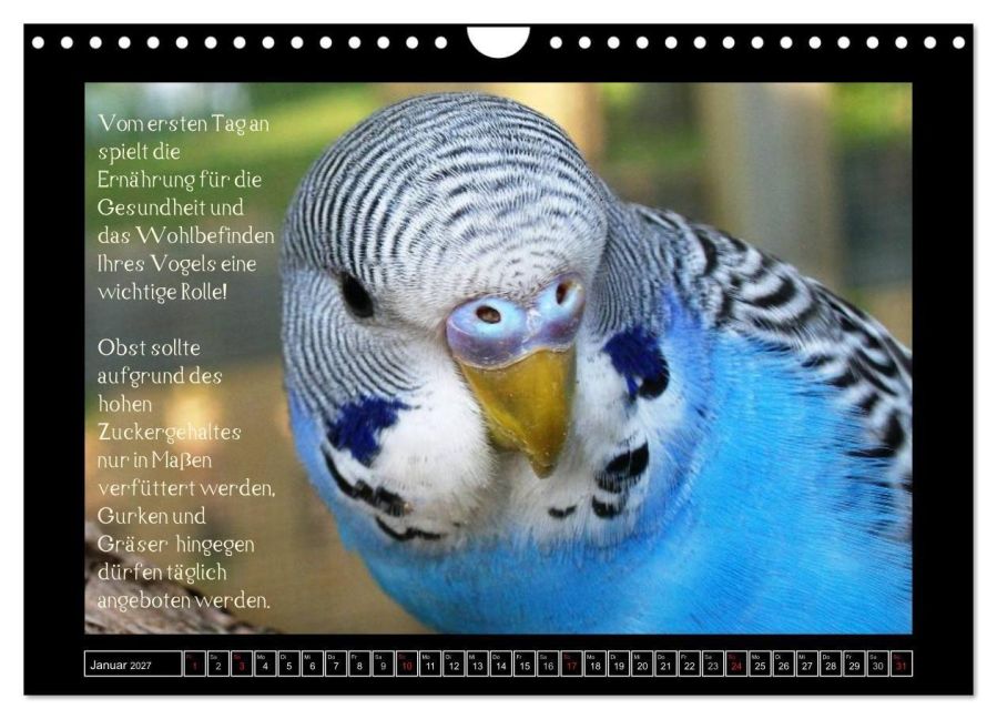 InsideView 6