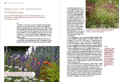 InsideView 7