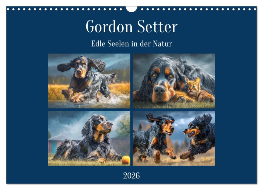 Gordon Setter. Edle Seelen in der Natur (Wandkalender 2026 DIN A3 quer), CALVENDO Monatskalender - Rose Hurley