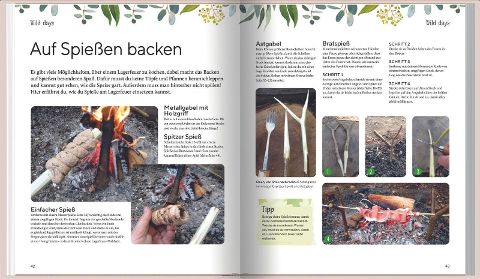 InsideView 10