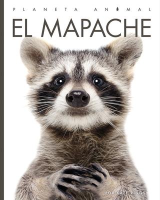 El Mapache - Valerie Bodden