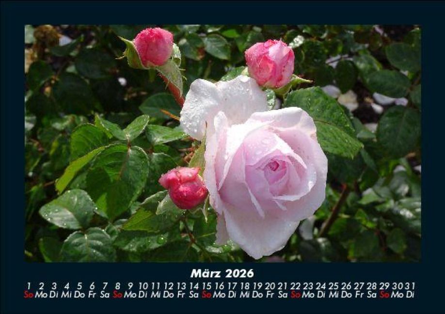 InsideView 7