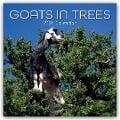 Goats in Trees - Ziegen auf Bäumen 2025 - 16-Monatskalender - Gifted Stationery Co. Ltd