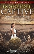 Solomom Stone: Captive (The Journey Home Series, #1) - Diana K Potter