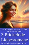 3 Prickelnde Liebesromane im Bundle November 2024 - Sidney Gardner, Leslie Garber, Sandy Palmer