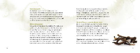 InsideView 7