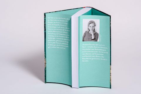 InsideView 3