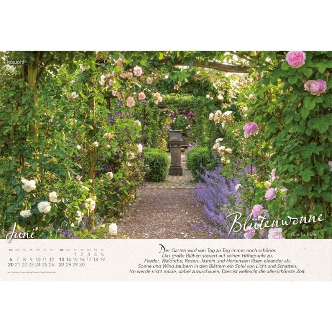 InsideView 5