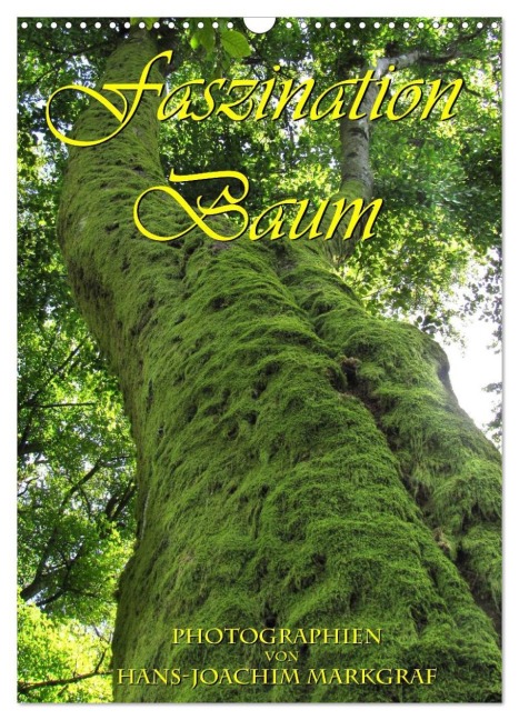 Faszination Baum (Wandkalender 2026 DIN A3 hoch), CALVENDO Monatskalender - Hans-Joachim Markgraf