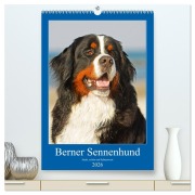 Cover-Bild zum Titel 'Berner Sennenhund - stark , schön und liebenswert (hochwertiger Premium Wandkalender 2026 DIN A2 hoch), Kunstdruck in Hochglanz' von 'Sigrid Starick'