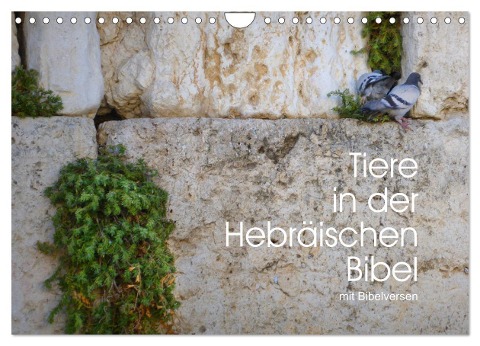 Tiere in der Hebräischen Bibel mit Bibelversen (Wandkalender 2025 DIN A4 quer), CALVENDO Monatskalender - Hans-Georg Vorndran