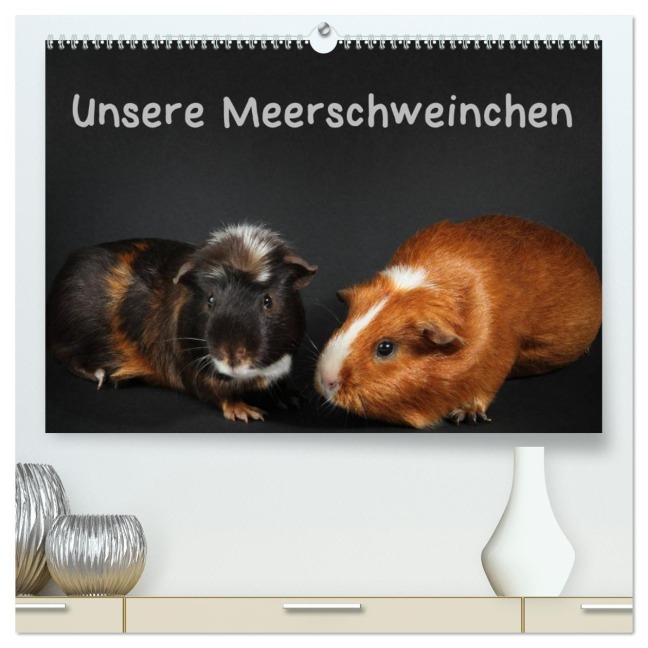 Unsere Meerschweinchen (hochwertiger Premium Wandkalender 2026 DIN A2 quer), Kunstdruck in Hochglanz - Hermann Klecker