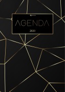 Cover-Bild zum Titel 'Agenda 2020 - Agenda Journalier et Agenda Semainier - Agenda de Poche et Planificateur 2020 - Organiseur et Calendrier 2020' von 'El Fintera'