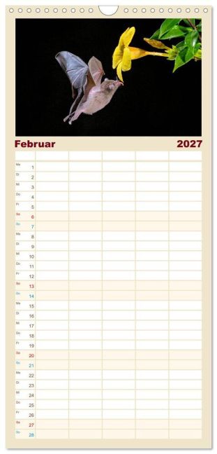 InsideView 6