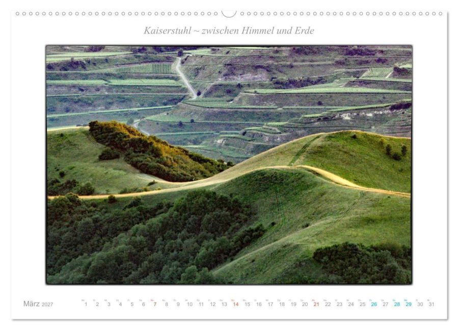 InsideView 7