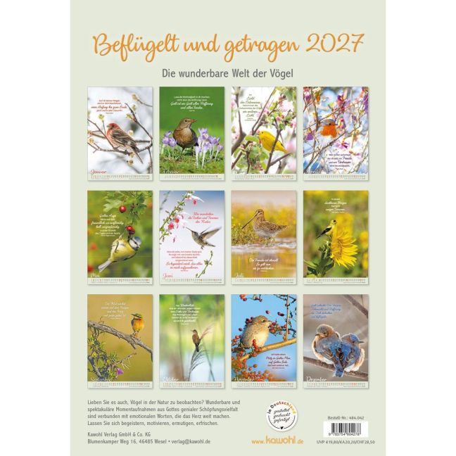 InsideView 13
