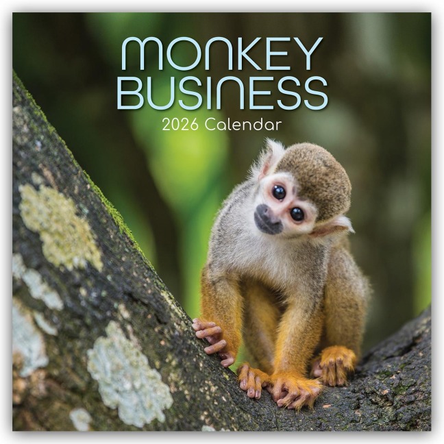 Monkey Business 2026 - 16-Monatskalender - The Gifted