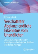 Cover-Bild zum Titel 'Verschatteter Abglanz: endliche Erkenntnis vom Unendlichen' von 'Richard Schenk'