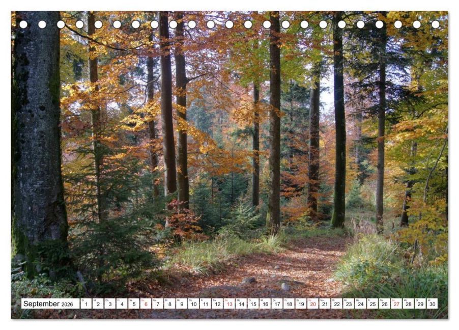 InsideView 14